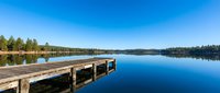 Wooden dock extending into calm blue lake surrounded by evergreen forest under clear sky, serene nature landscape.