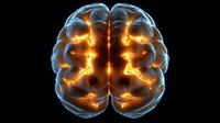 Glowing orange and blue brain visualization showing neural activity and connections on black background, medical science concept for neurology and brain research.