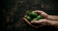 Farmer hands holding fresh green avocados against dark rustic background, representing organic produce, sustainable agriculture, and harvest for food industry and wellness.