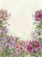 Delicate floral frame with pink and purple blooms on soft pastel background for wedding invitations, greeting cards and romantic design projects.