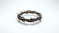 Crown of thorns made from twisted branches with sharp spines, isolated on white background. Suitable for religious, spiritual, Easter, and educational content.