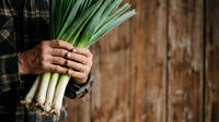 Farmer holding fresh green leeks with soil on roots against rustic wooden background, representing organic produce harvesting and sustainable agriculture.