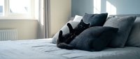 Cozy bedroom with neatly arranged dark and light gray pillows on white bedding, bright natural light from window, modern home interior design for relaxation and sleep.