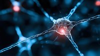 Glowing neuron cell with synaptic connections on dark blue background showing neural network activity and brain cell communication in medical science visualization.