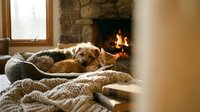 Cozy orange tabby cat sleeping peacefully on soft knitted blanket by warm fireplace in rustic living room creating perfect hygge atmosphere for relaxation.