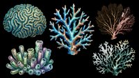 Isolated brain coral, blue branching coral, fan coral, tube coral, and sea fan coral on transparent background. Ready for clipart, t-shirt design, stickers, sublimation, and print-on-demand products.