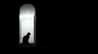 Silhouette of a cat sitting in a doorway with bright light streaming through, creating a contemplative mood suitable for pet, mystery, and atmospheric design projects.