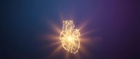 Glowing golden anatomical heart with radiant light beams on dark gradient background for medical education and healthcare design concepts.