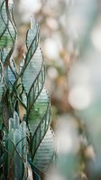 Decorative metal and glass leaf sculpture with bokeh background, featuring teal tones and intricate ironwork details in soft natural light.