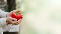 Person holding fresh red bell pepper in hands outdoors, suitable for organic food, agriculture, and healthy eating content.