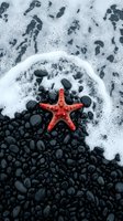 Red starfish on black pebble beach with white foam waves creating natural contrast for marine life photography and coastal design projects.