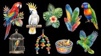 Colorful tropical parrot clipart set isolated on transparent background, featuring macaw, cockatoo, lorikeet, feathers, cage, toy, and food bowl for t-shirt design, stickers, print on demand.