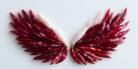 Red dried chili peppers arranged in wing shape formation on white background, creative food photography concept for spicy cuisine and culinary art.