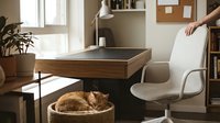 Orange tabby cat sleeping in wicker basket beside modern home office desk with white chair and bookshelf creating cozy workspace atmosphere.