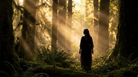 Silhouetted figure standing in misty forest with golden sunlight streaming through tall trees, creating atmospheric rays of light through fog and woodland mist.