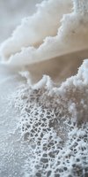 Delicate snowflake crystals form intricate natural patterns on frosty surface, macro photography reveals detailed ice structure in soft white and gray tones.