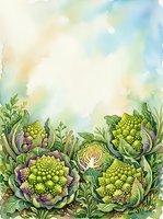 Watercolor illustration of fresh cauliflower and romanesco vegetables with green foliage on soft pastel background, suitable for culinary, organic food, and garden design projects.