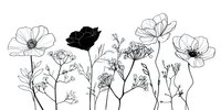 Elegant line art of wildflowers and roses with one black silhouette bloom among white outline flowers, perfect for modern botanical wall art.