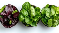 Fresh lettuce varieties in black bowls arranged in row, including purple, butter and green leaf lettuce heads on white background, top view food photography.