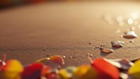 Colorful autumn leaves scattered on wet sandy beach with water droplets and soft bokeh lights creating peaceful seasonal coastal atmosphere.
