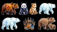 Watercolor bear collection featuring brown, panda, polar, and grizzly bears with paw print isolated on transparent background. Ready for t-shirt design, clipart, stickers, sublimation, and print-on-demand products.