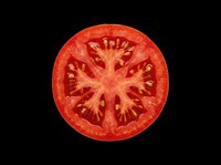Tomato slice cross-section isolated on transparent background, ready for culinary design, food packaging, recipe graphics, t-shirt prints, stickers, and print-on-demand products.