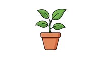 Young green plant growing in terracotta pot with fresh leaves. Simple line art style on white background for gardening and growth concepts.
