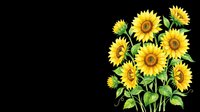 Bright yellow sunflowers with green stems and leaves isolated on transparent background. Ready for t-shirt designs, clipart, stickers, print-on-demand products, and sublimation projects.