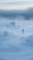 Solitary figure walking through heavy fog and snow-covered landscape with frost-laden trees, evoking isolation and winter adventure in harsh arctic conditions.