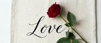 Red rose lying on a linen fabric with calligraphy word Love, romantic flat lay for Valentine's Day, wedding, or anniversary greeting.