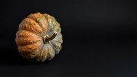 Dried decorative gourd with ridged texture isolated on dark background, suitable for autumn harvest designs, fall seasonal projects, and botanical still life compositions.