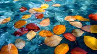 Colorful autumn leaves floating on rippling blue water surface, creating seasonal contrast for nature backgrounds and fall themes.