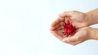 Hands holding red crumpled paper heart against white background, symbolizing love, compassion, and emotional support for healthcare, charity, and awareness campaigns.