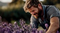 Bearded Caucasian male farmer examining blooming lavender plants in field during sunset. Natural farming and agriculture lifestyle concept.