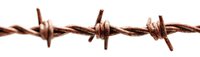 Rusty barbed wire strand against white background, macro close-up showing weathered metal texture and sharp points, isolated design element for security concepts.