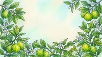 Lemon tree branches with green fruits and white blossoms frame a soft watercolor background, ideal for culinary, botanical, and wellness design projects.