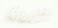 Delicate pencil sketch of wild grass and reeds swaying in gentle breeze on textured paper background for artistic projects and natural design elements.