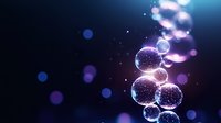 Glowing transparent spheres with sparkles floating in dark space, creating magical bokeh effect in purple and blue colors against black background.