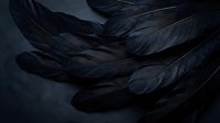 Dark black feathers arranged in elegant pattern on moody background for gothic design projects and artistic compositions.