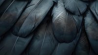 Dark iridescent raven feathers in macro view showing detailed texture and natural pattern with metallic blue-black sheen, creating mysterious atmospheric background.
