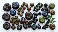 Assorted heirloom tomatoes in purple, black and green varieties arranged on white background for culinary and gardening projects.