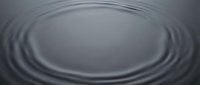 Concentric ripples spread across calm water surface, creating symmetrical wave patterns in monochromatic gray tones, suitable for backgrounds and design projects.