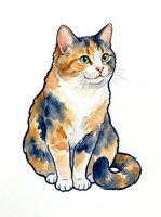 Watercolor illustration of a calico cat with orange, white, and navy patches sitting upright on isolated white background, ready for design projects.