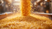 Golden corn kernels falling in cascade creating heap of grain with bokeh light effect and shallow depth of field, agricultural harvest concept.