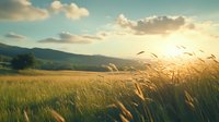 Golden wheat field swaying in warm evening breeze against mountain backdrop as sun sets behind dramatic clouds, creating ethereal atmospheric landscape.