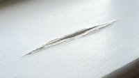 Single feather isolated on white background, suitable for design projects, clipart, and creative compositions.