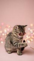 Adorable tabby kitten wearing heart-shaped glasses with bokeh lights on pink background for Valentine's Day celebration and romantic pet photography.