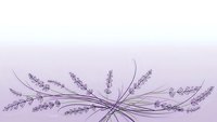 Elegant lavender sprigs arranged in decorative pattern on soft purple gradient background for aromatherapy and wellness design projects.