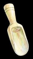 Watercolor illustration of a fresh pea pod isolated on transparent background, ready for clipart, t-shirt design, stickers, print-on-demand products and sublimation projects.