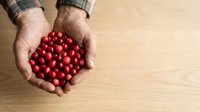Male hands holding fresh red cherry tomatoes over wooden surface, ideal for food, agriculture, and organic produce marketing materials.